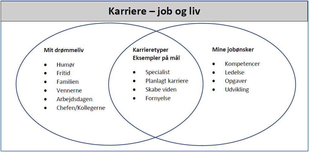 Karriere - Job Og Liv | Lederkompetencer.net